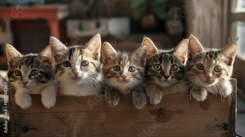 Five adorable kittens peeking out of a wooden box in a cozy indoor setting during daylight hours photo