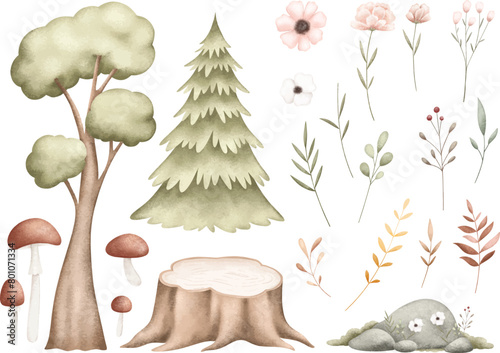 Watercolor Illustration Set of Forest Elements © Stella