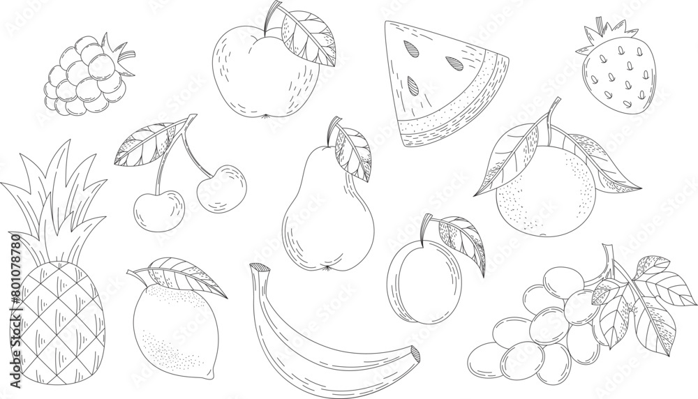 Doodle fruits and berries set. Line art food sketch vector illustrations Doodle fruits and berries set. Line art food sketch vector illustrations