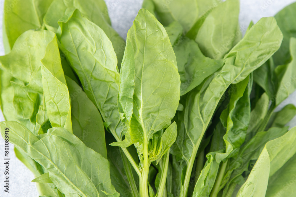 Fototapeta premium Spinach green leaves on salad healthy food