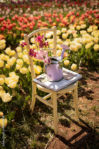 tea in garden