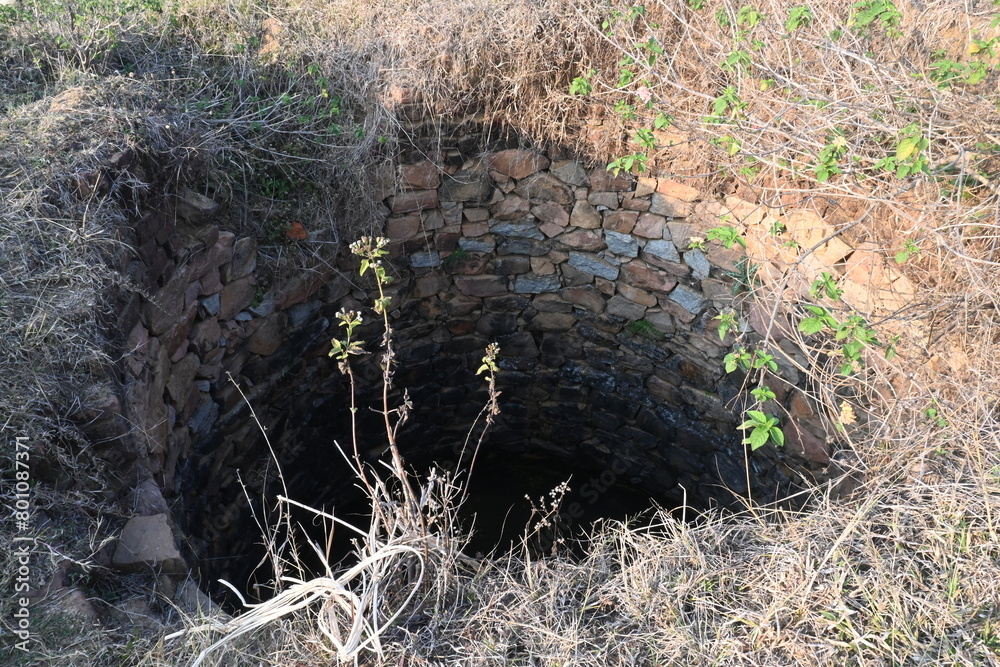 Obraz premium Old water well. It is common to see these wells in the fields of India. Earlier, it was used for farming. This well is made of stones.