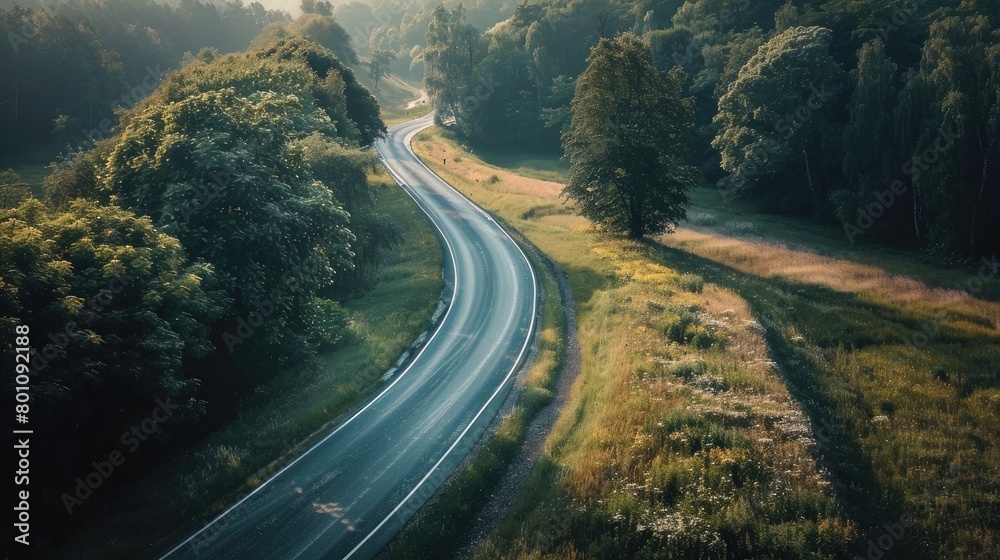 Capture the serene ambiance of a road meandering through