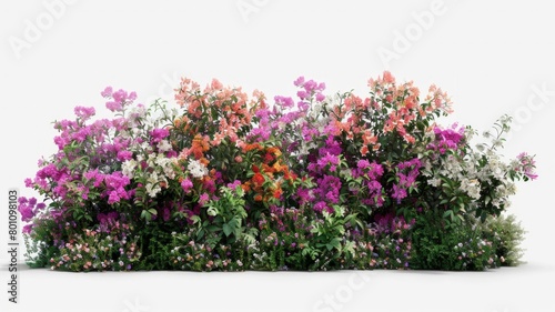 A colorful bush with pink, orange, and white flowers