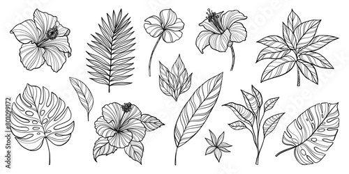 A harmonious blend of rich green tropical leaves, elegantly arranged to create a serene and lush botanical tapestry. Perfect for bringing the essence of the tropics into any space