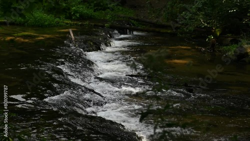 Waterfall on the Tanew River in a nature reserve