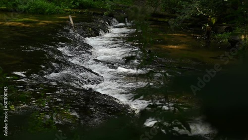 Wild waterfall on the Tanew River in summer 