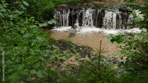 The picturesque bed of the Jeleń River on Roztocze in the deep Roztoczańska Valle
