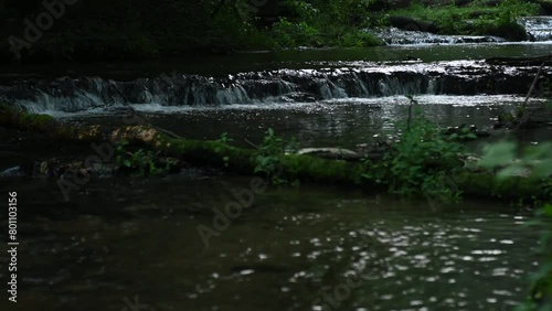 Water rapids on the Tanew River in the early morning, Rezerwat przyrody Nad Tanwią. 