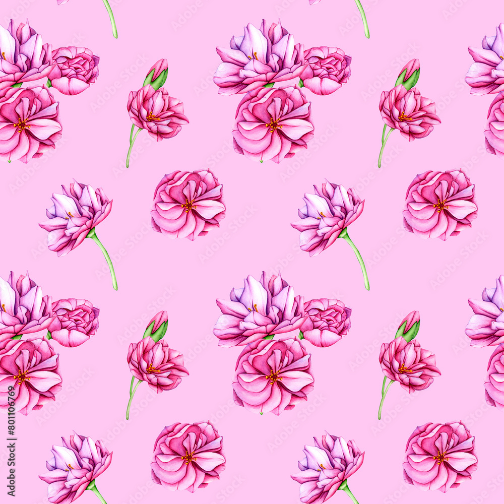 Sakura flowers. Pink cherry blossom flowers. Seamless Pattern with Japanese flowers in spring. Watercolor botanical illustration with buds, petals and leaves for your designs, wallpapers, clothing
