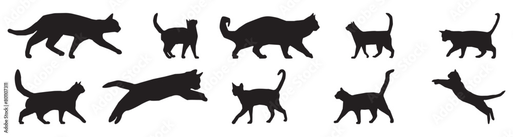 Cat silhouette collection. Set of black cats. Kitten black symbol collection. Isolated vector illustration.