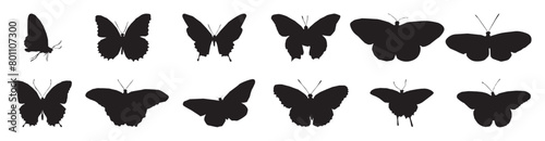 Flying butterflies silhouette black set isolated on white background.Vector illustration.