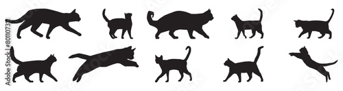 Cat silhouette collection. Set of black cats. Kitten black symbol collection. Isolated vector illustration.