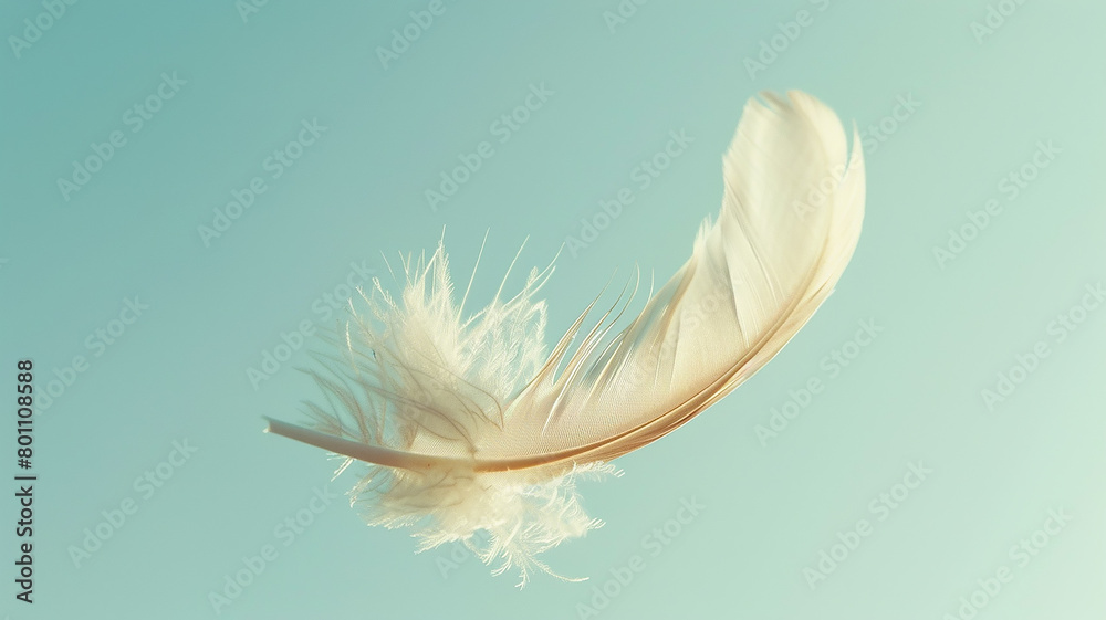 A white fluffy bird feather on a delicate blue background A white fluffy bird feather on a delicate blue background