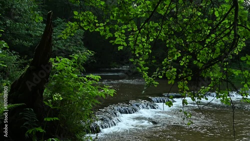 The Tanew River valley in the morning fog, with the sound of waterfalls in the background