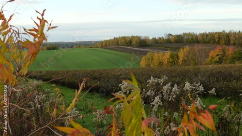 Roztocze fields in autumn on the hills between yellow leaves