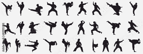 Martial Art silhouette collection. 