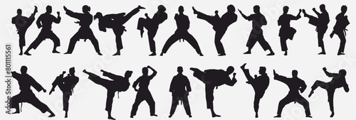 martial arts silhouette bundle for any design purpose.
 Taekwondo, judo, wushu, capoeira, mma fighters in fighting poses, action. Wrestling, kick boxing, muay thai, sambo sports.