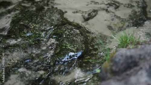 Slow flowing water in a river between stones over a sandy bottom.