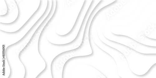 Abstract white paper cut background with lines. Background of the topographic map. White wave paper curved reliefs abstract background. Realistic papercut decoration textured with wavy layers.