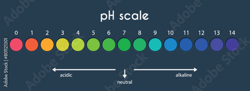 pH value scale chart for acid-alkaline solution. Acid-base balance infographic isolated on white background. Indicator for concentration of hydrogen ion in solution. Vector illustration.