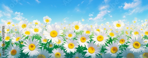 White daisies Background  anime style 