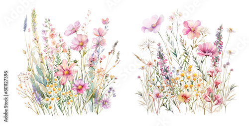 Cluster of wildflowers with pastel tones photo