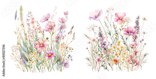 Fototapeta Naklejka Na Ścianę i Meble -  Cluster of wildflowers with pastel tones