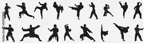 mix martial arts, Kungfu, boxing, karate, kick boxing, jujitsu, taekwondo, sumo, mauy thai. Silhouette vector illustration.	