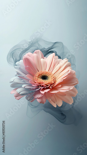 Vertical pastel pink daisy flower design with blue smoke around petals and creative copy space. Minimal magical spring love aesthetic. Surreal blooming gerbera concept.