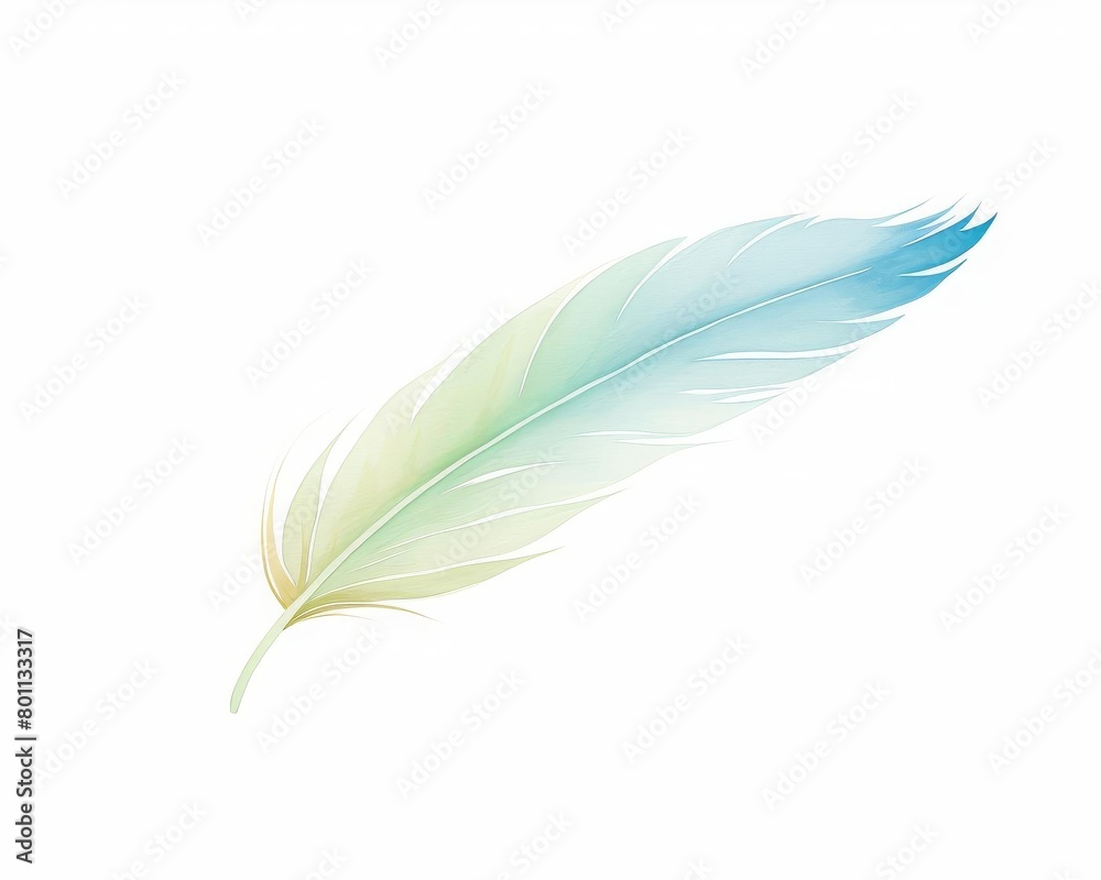 Obraz premium one feather, soft background