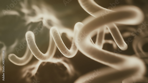 3D Rendering of Treponema Pallidum