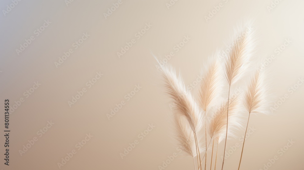 An elegant and serene essence of minimalism, featuring delicate dried bunny tail grass in a soft hue, set against a clean, neutral background with ample copy space for text An elegant and serene essence of minimalism, featuring delicate dried bunny tail grass in a soft hue, set against a clean, neutral background with ample copy space for text