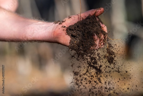 farmer holding soil in hand and pouring soil on ground. connected to the land and environment. soil agronomy in australia. soil heath study.