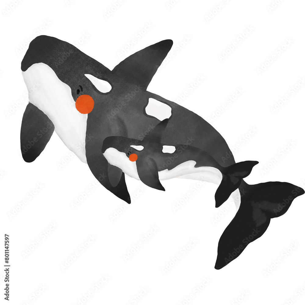 Obraz premium orca with child
