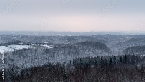 Hilly winter landscape with forest and scattered village, silent countryside on overcast dull day
