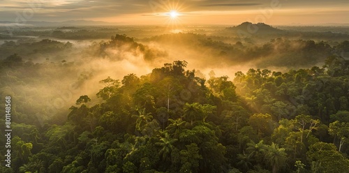 Adventure Explore Air  Vibrant Dronescape of Amazon Forest at Sunset Sunrise
