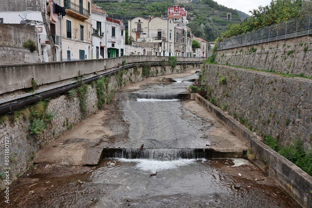 Maiori - Coppia di Germano Reale nel Fiume Reginna in Via Chiunzi