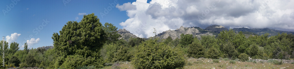 landscape, view, nature, mountains, plants, trees, greenery, spr landscape, view, nature, mountains, plants, trees, greenery, spr