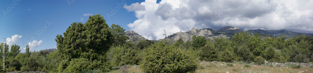 landscape, view, nature, mountains, plants, trees, greenery, spr