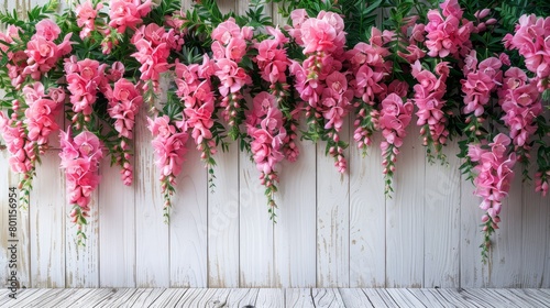   Pink flowers grow on a white wooden wall; their tops sport green leaves, while bottoms bear more