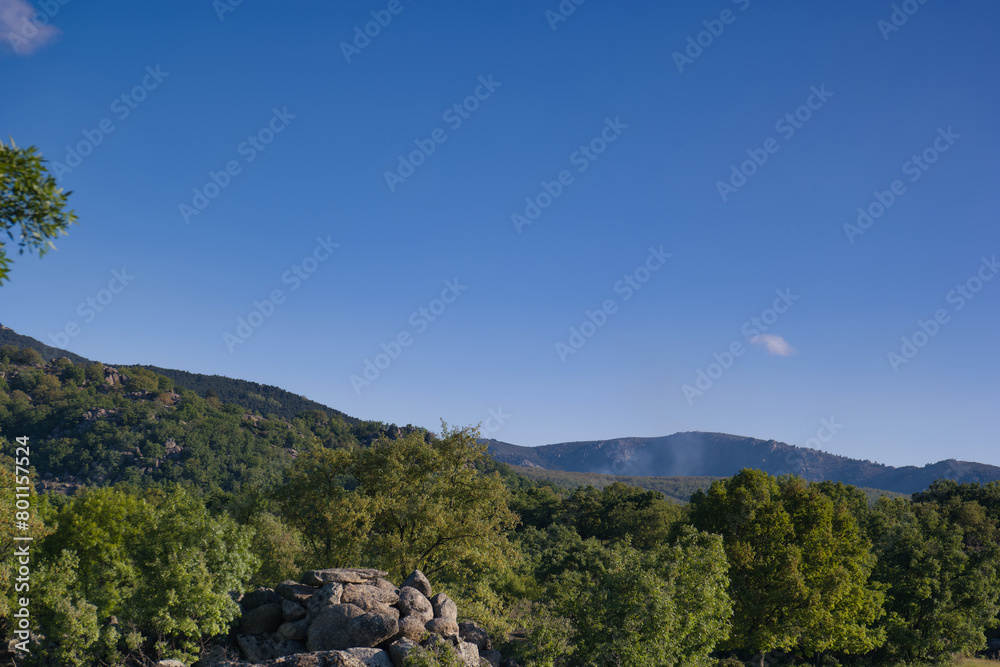 landscape, view, nature, mountains, plants, trees, greenery, spr landscape, view, nature, mountains, plants, trees, greenery, spr