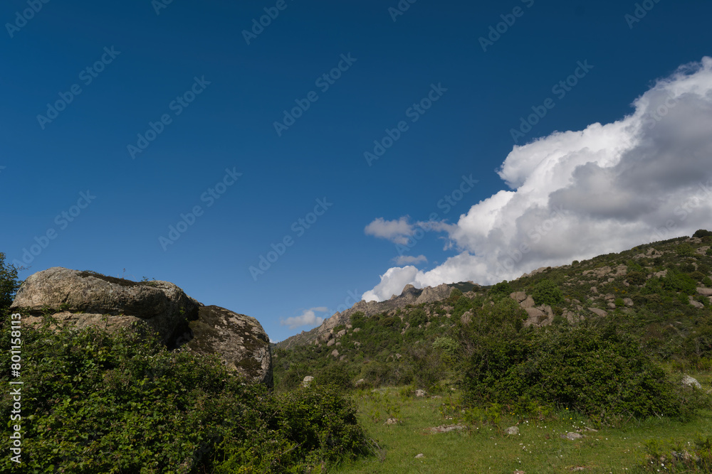 landscape, view, nature, mountains, plants, trees, greenery, spr landscape, view, nature, mountains, plants, trees, greenery, spr