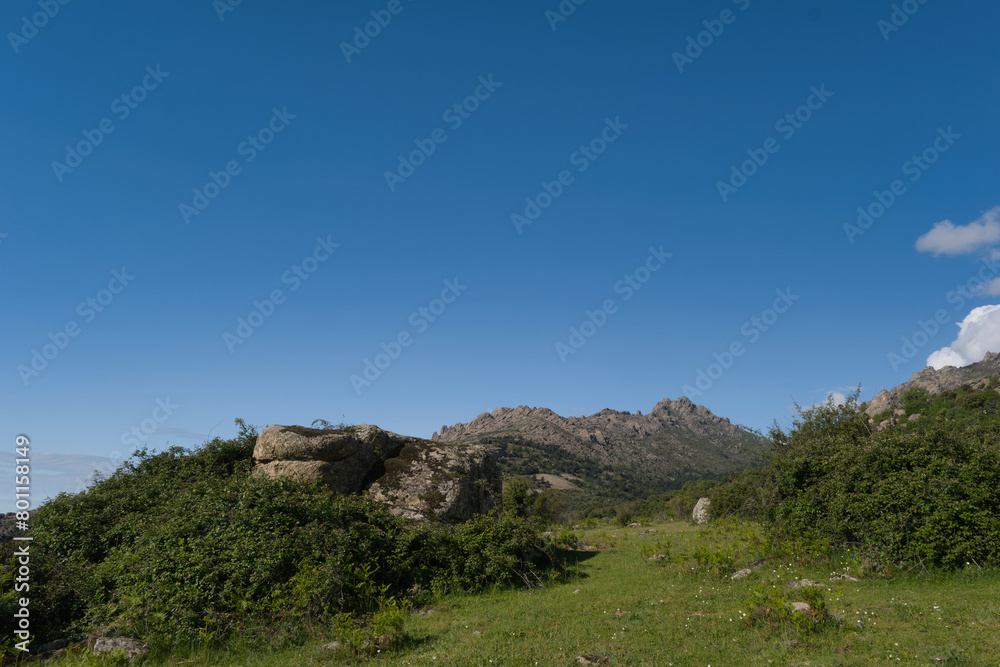 landscape, view, nature, mountains, plants, trees, greenery, spr landscape, view, nature, mountains, plants, trees, greenery, spr
