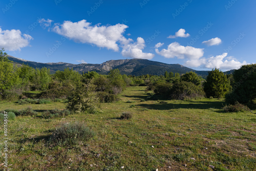 landscape, view, nature, mountains, plants, trees, greenery, spr landscape, view, nature, mountains, plants, trees, greenery, spr