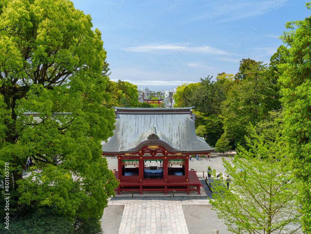 鎌倉 鶴岡八幡宮の本宮からの眺め 鎌倉 鶴岡八幡宮の本宮からの眺め