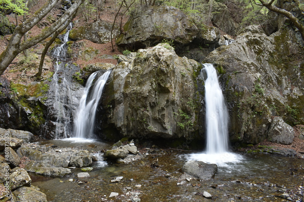 Obraz premium 乙女の滝