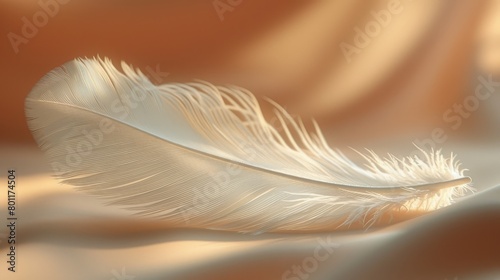   A tight shot of a white feather against a brown and beige backdrop, its edges softly blurred © Shanti