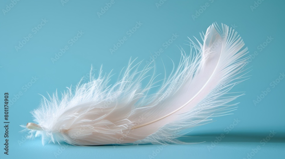 A tight shot of a pristine white feather against a blue backdrop, featuring a droplet of water at its tip A tight shot of a pristine white feather against a blue backdrop, featuring a droplet of water at its tip