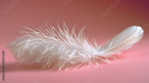   A white feather atop a pink surface against a lighter pink background © Shanti